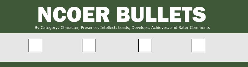 NCOER Bullets dot com Header